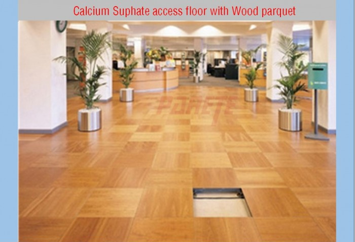 AF-10 Calcium Sulphate Access Floor with Wood Parquet Finish